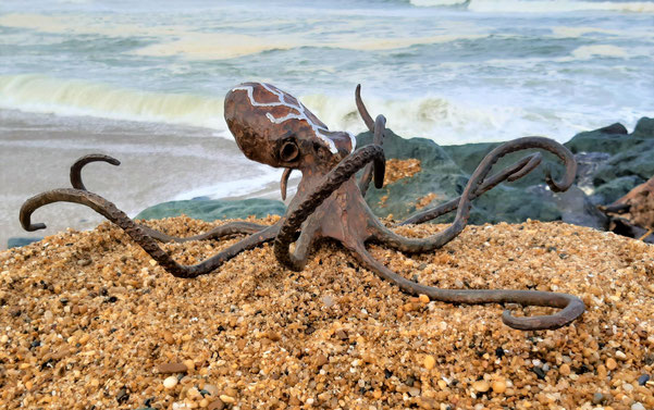 Octopus
